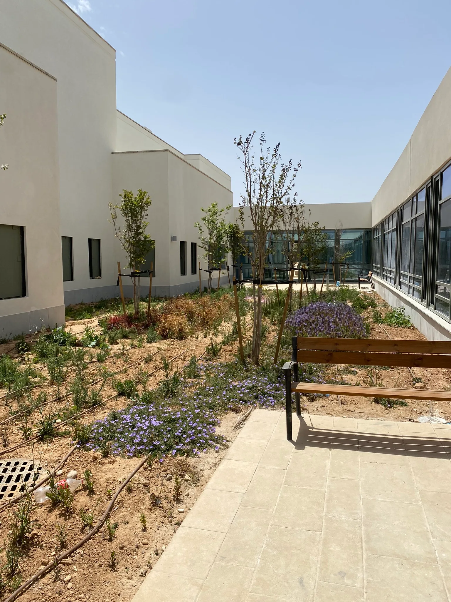 Planted healing courtyard between the wings