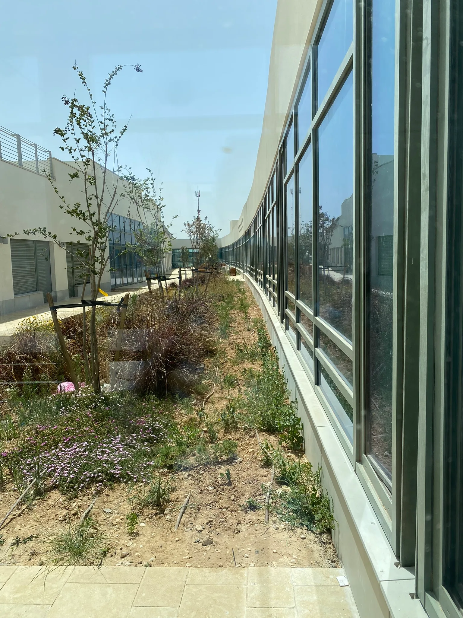 Courtyard path along the glazed facades