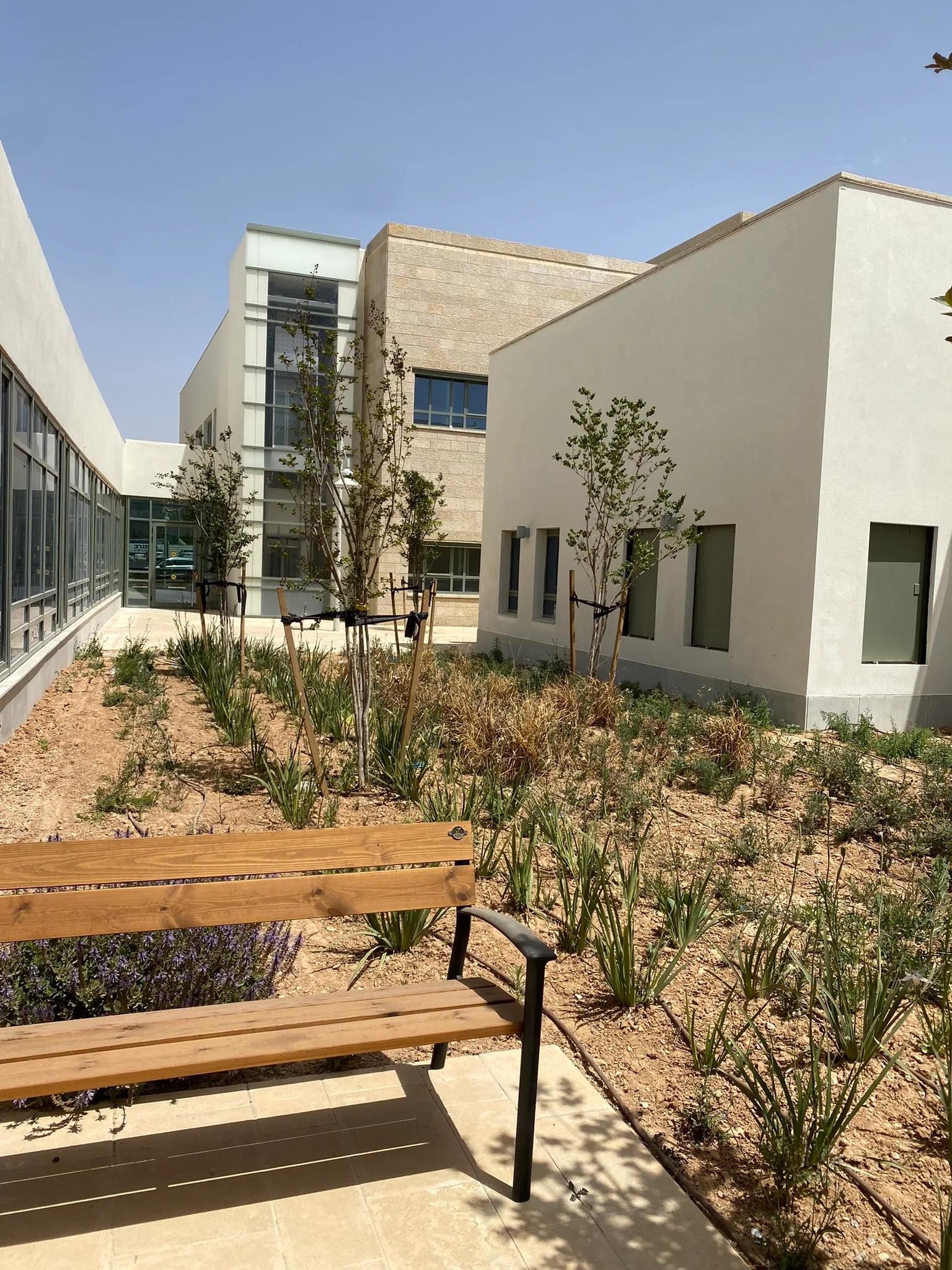 Courtyard garden with seating benches