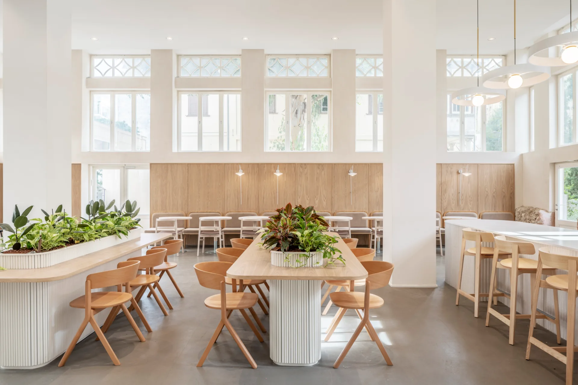 Communal dining hall with tall windows