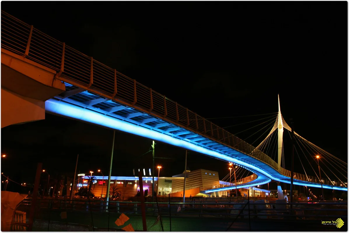 Calatrava Bridge