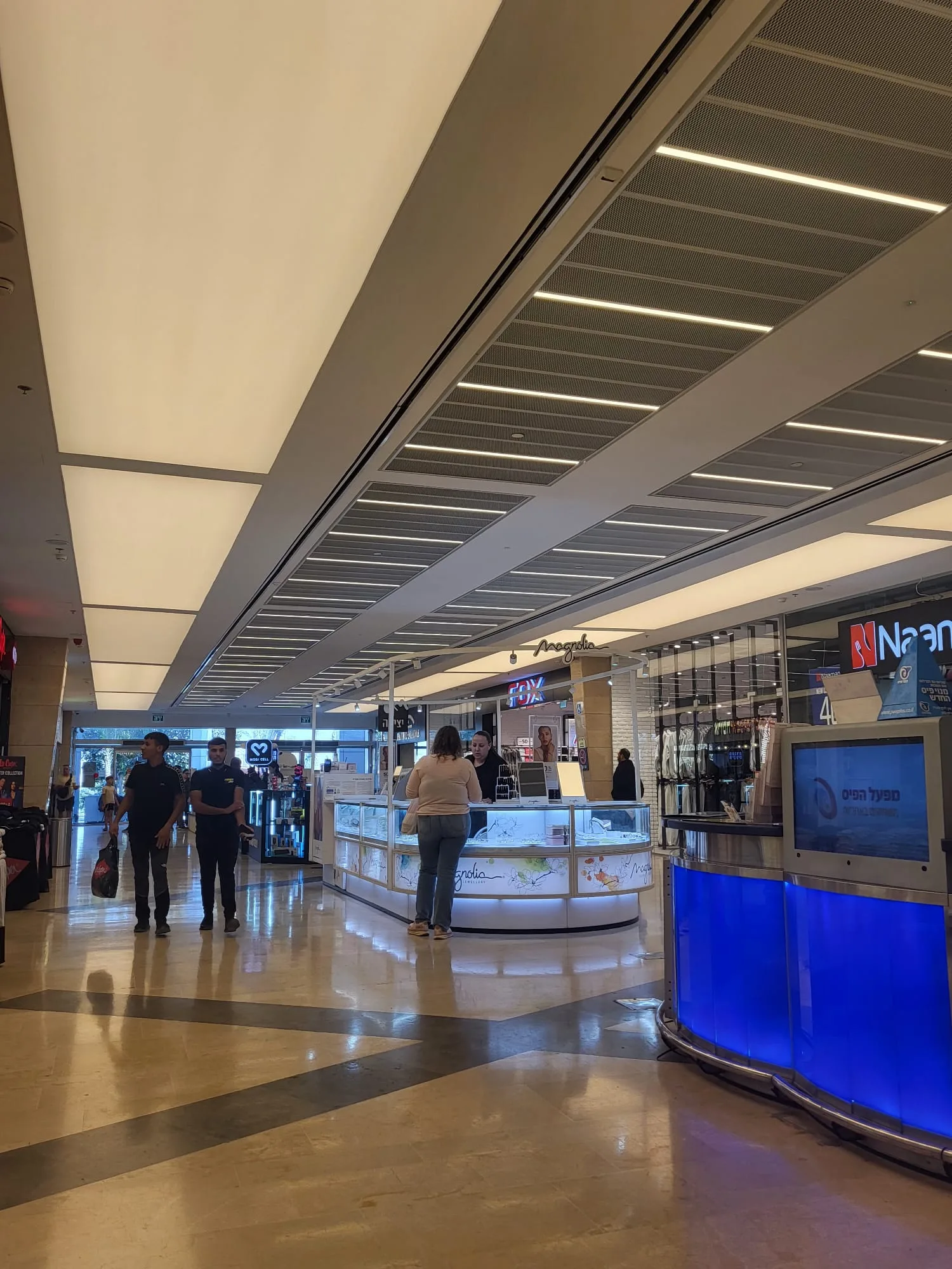 Mall concourse with linear light in the mesh ceiling