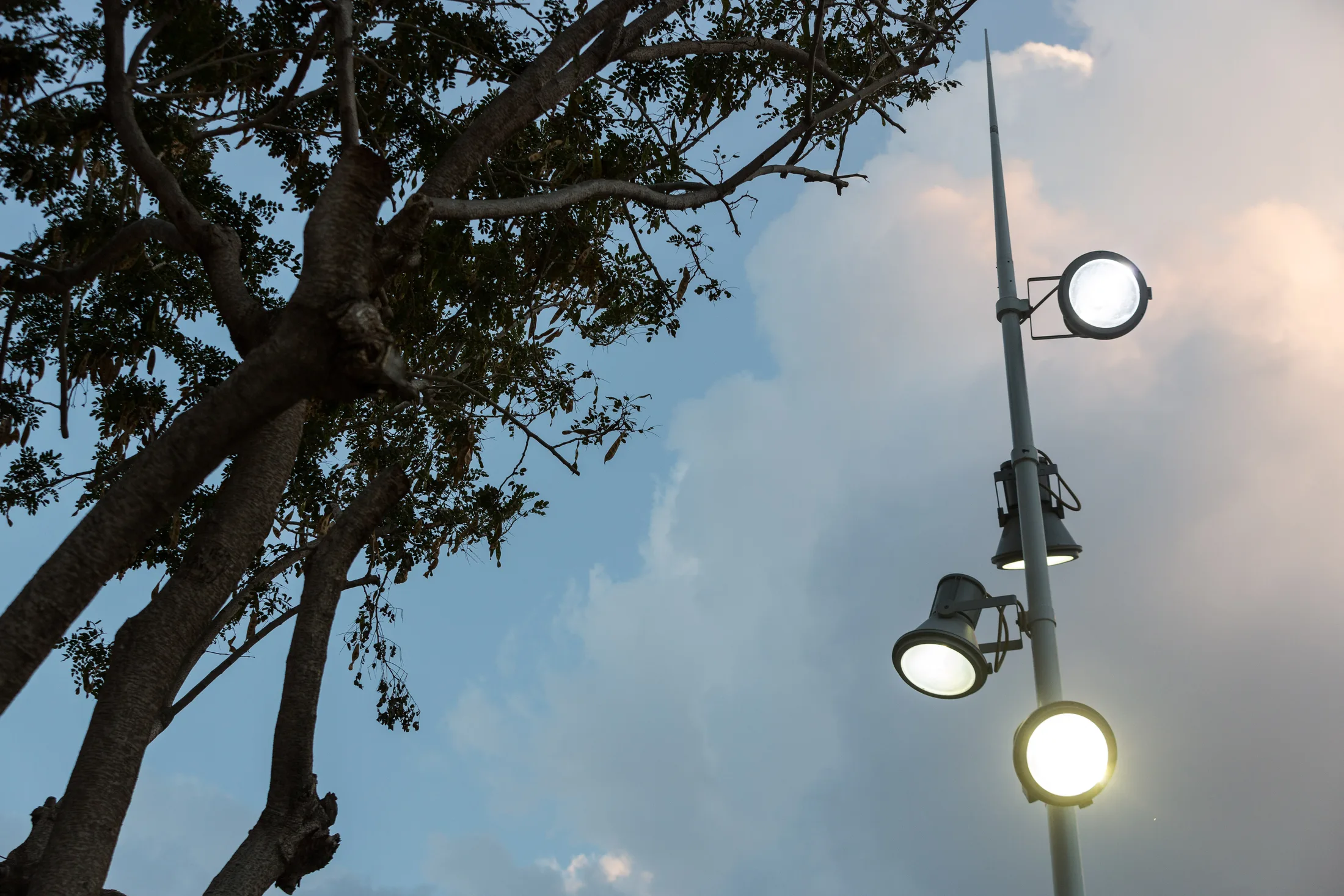 A close view of a multi-head lighting pole among the trees