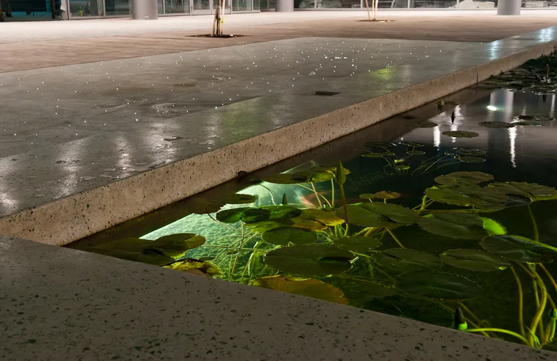 Illuminated water and landscape area