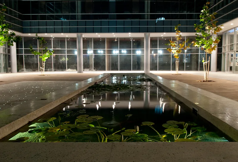 Gathering area between buildings
