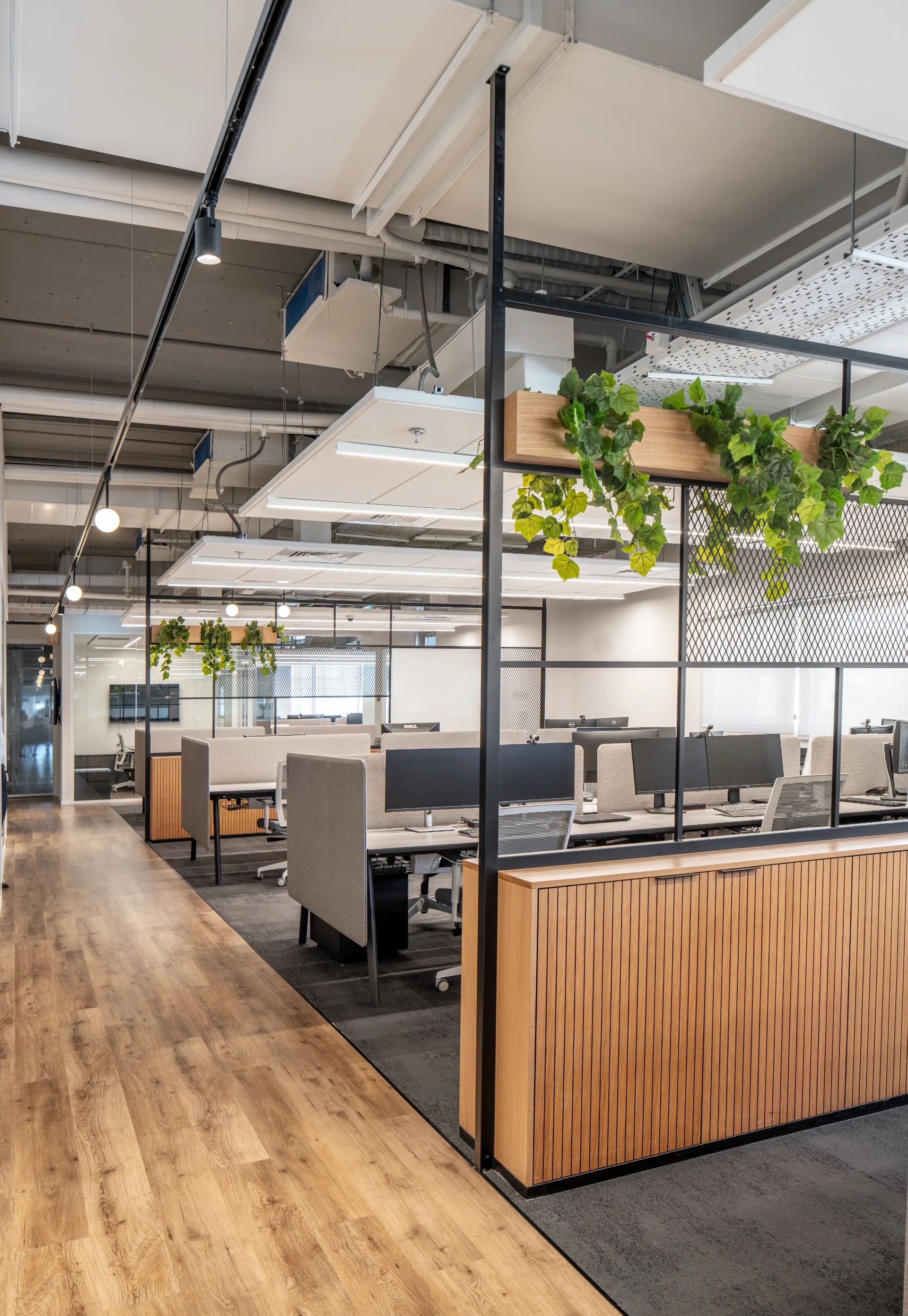 Open workspace with mesh partitions and hanging greenery