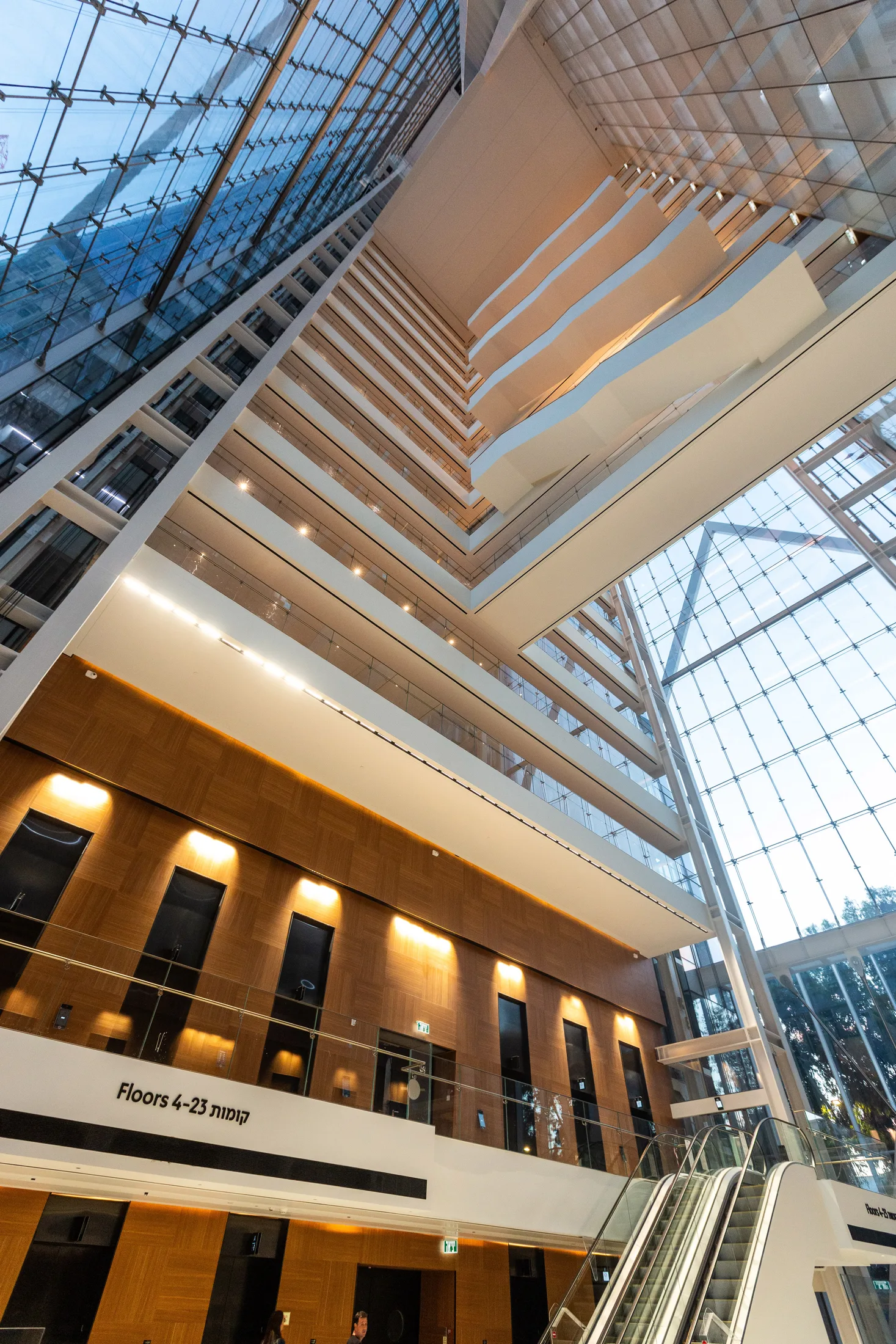 The atrium's glass roof with wood ribs seen from below