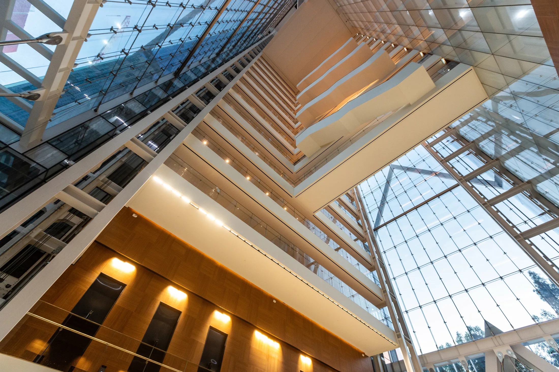 The atrium's wood structure in an upward view