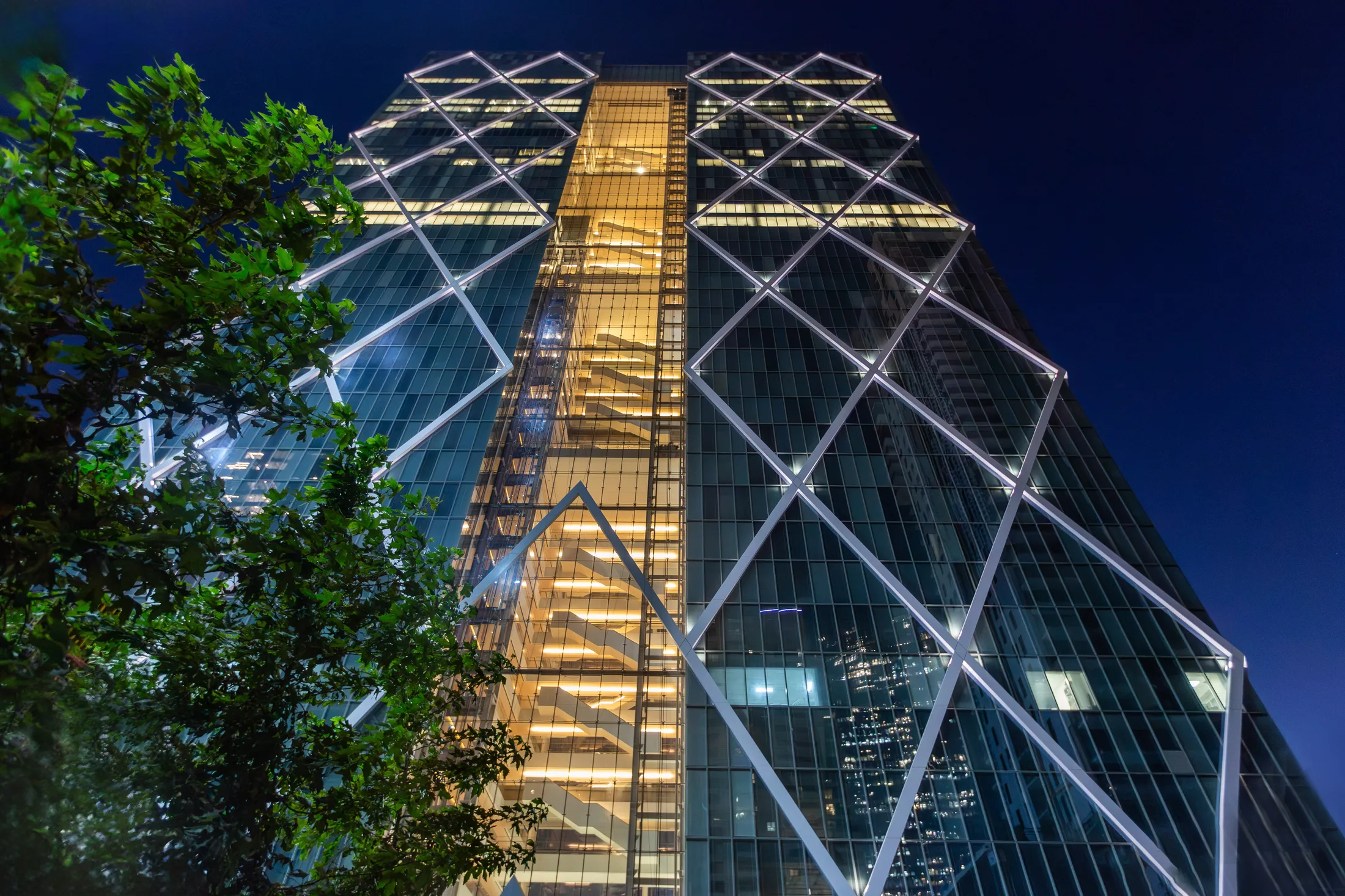 The tower lit at night through the diamond grid, with planting at its base