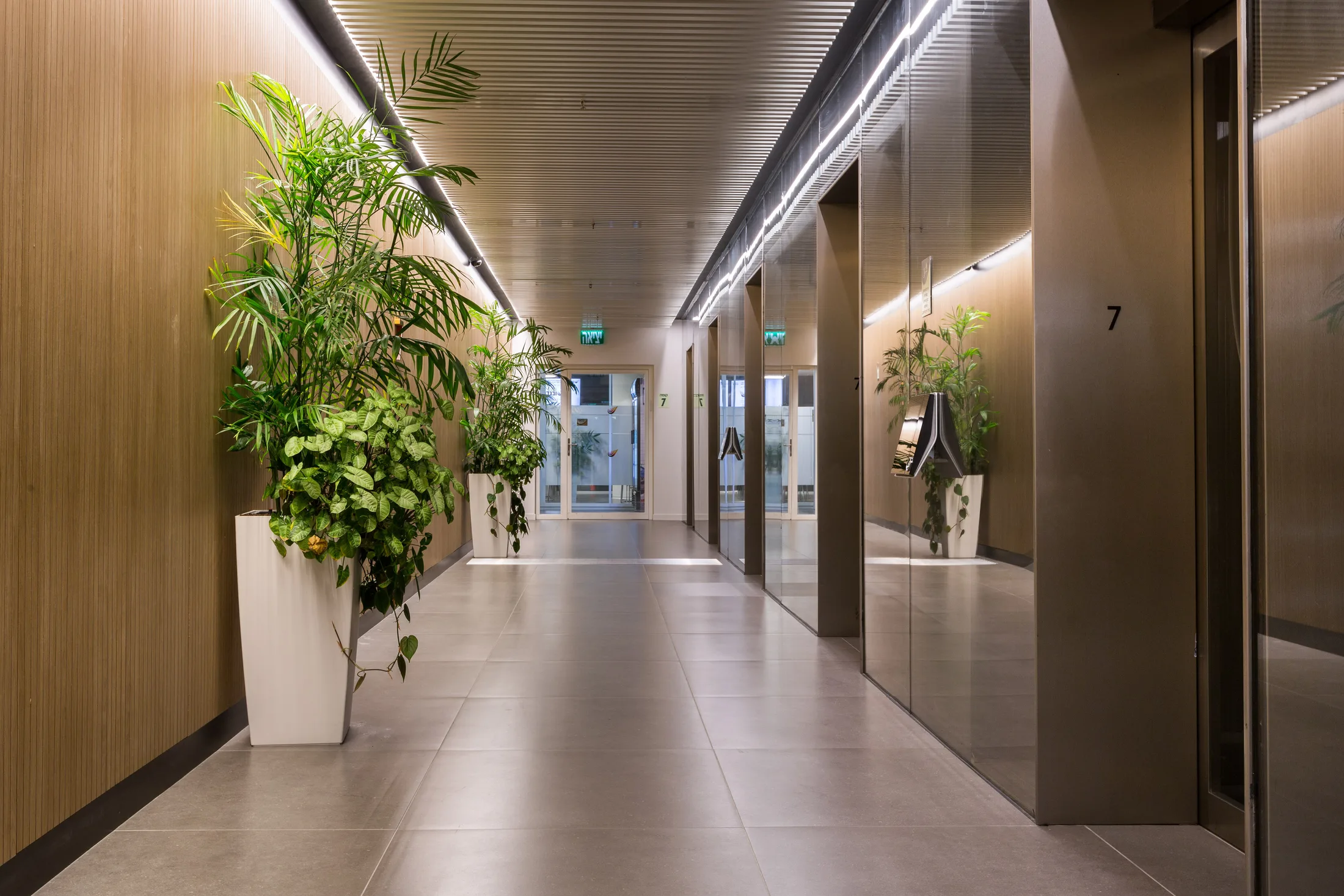 A typical lift lobby with a timber wall and planting