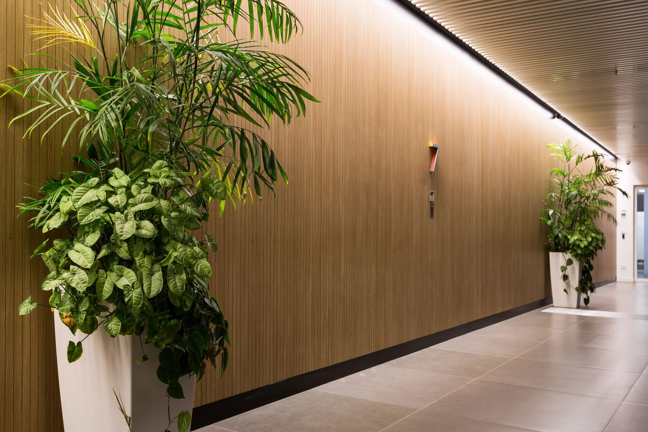 A floor lobby corridor with timber slats and cove lighting