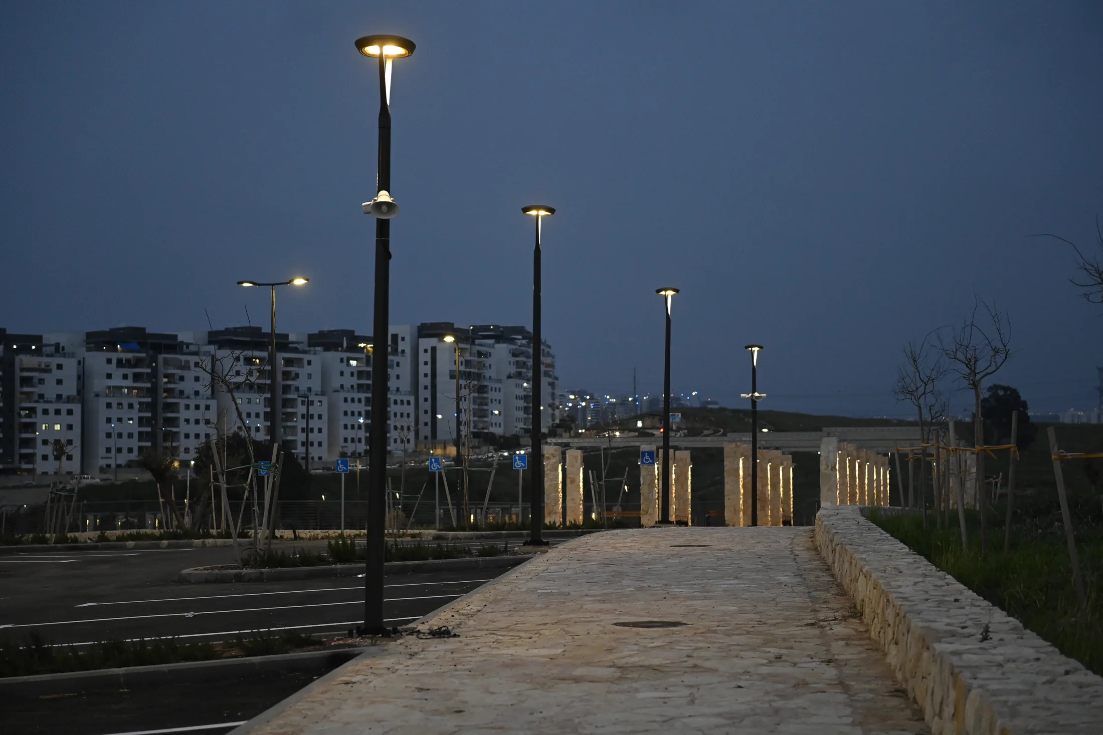 Path and public area lighting