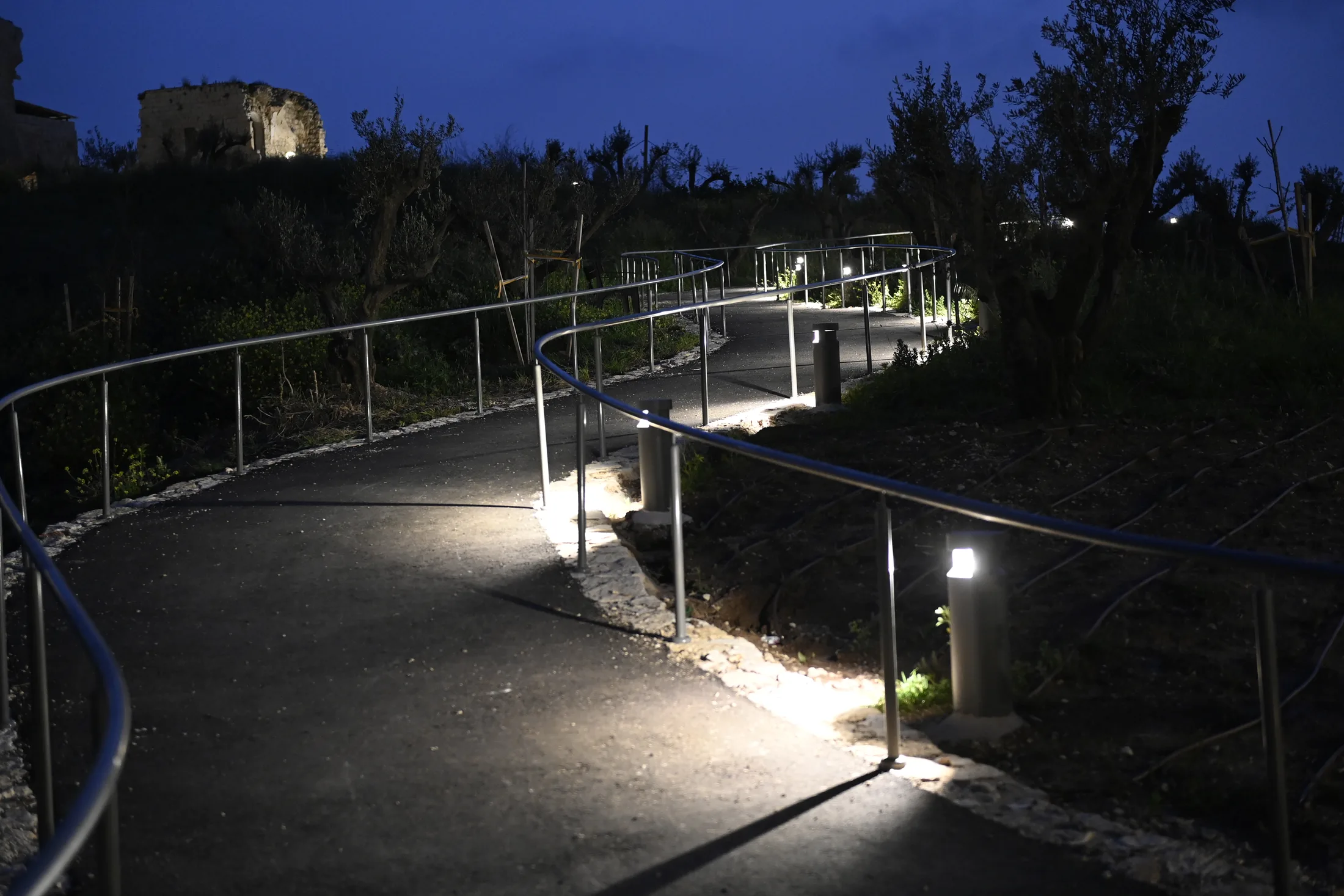 Illuminated accessible path