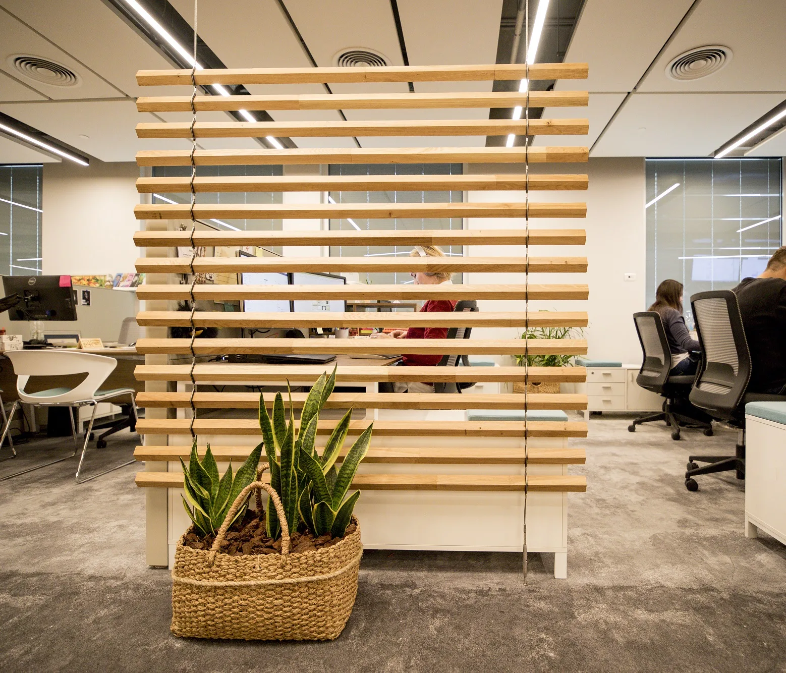 Shared workplace area