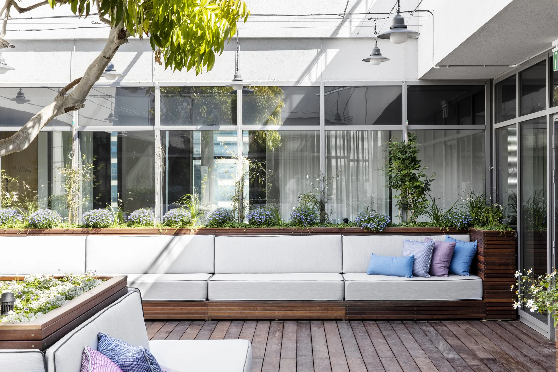 Shared office space