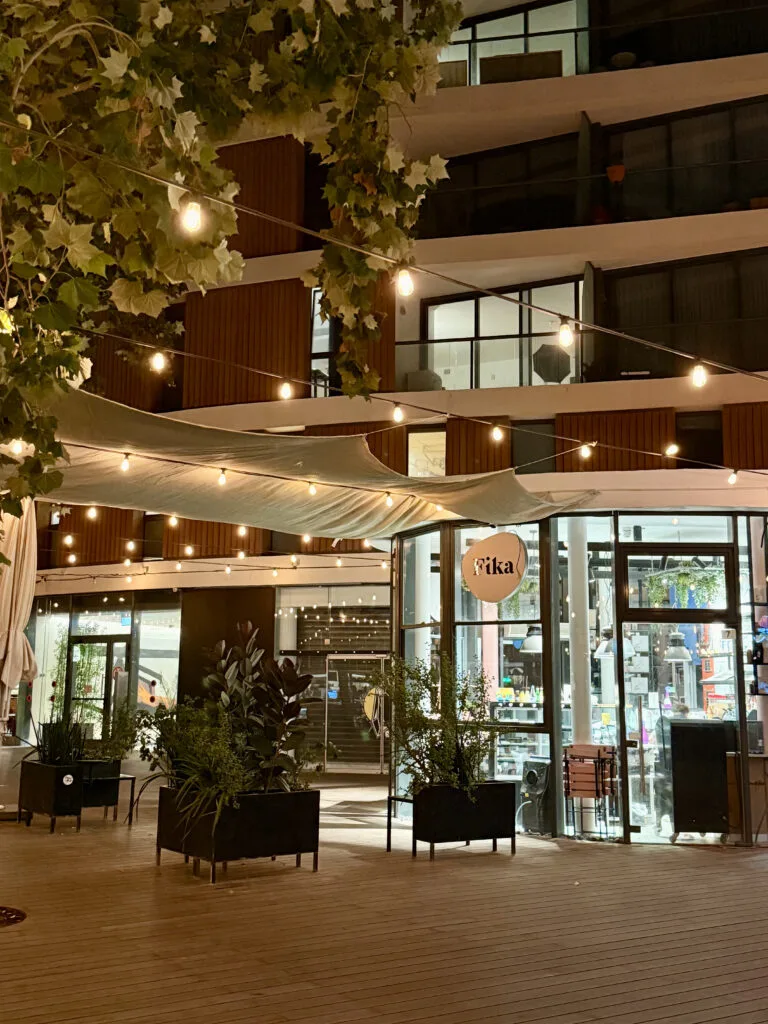 Warm festoon lighting under the tree canopy at night