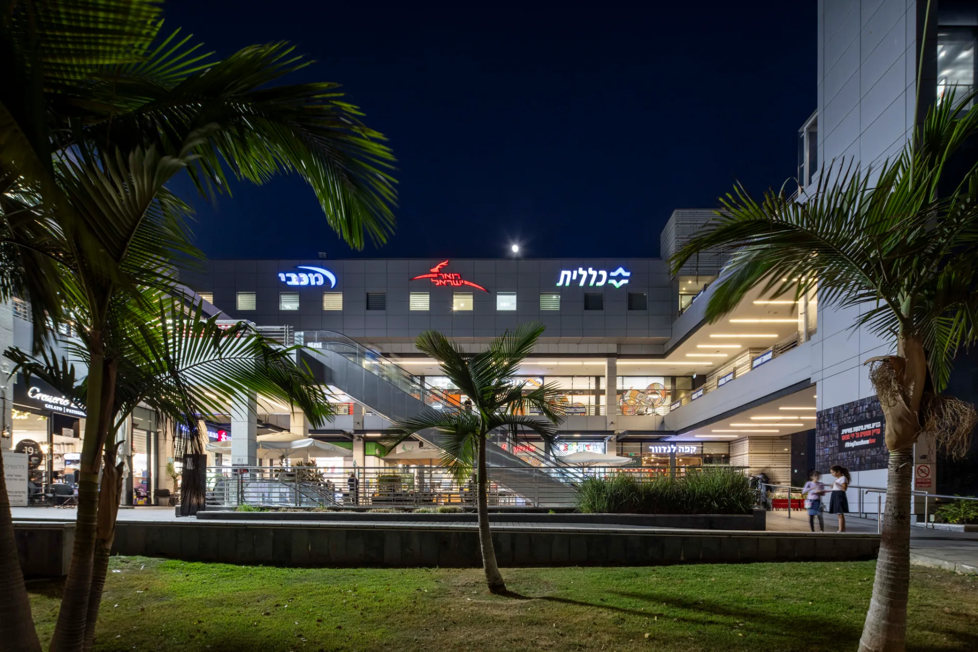 Lit storefronts and signage behind landscaped palms at night