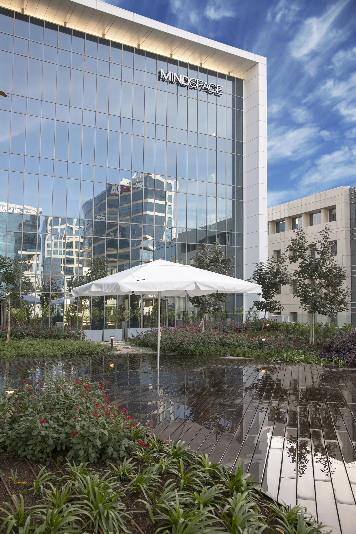 A patio with a parasol facing the glass facade and planting