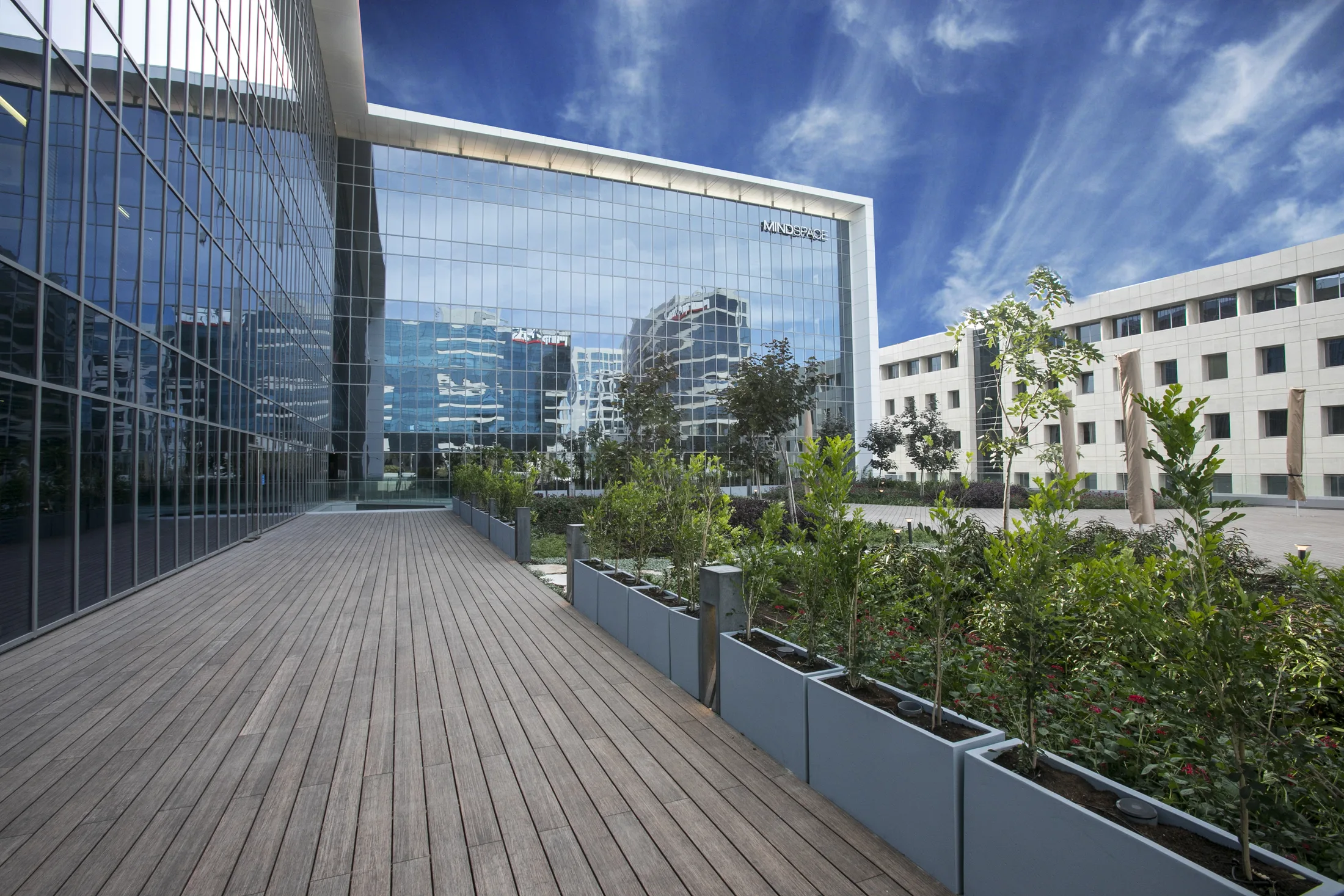 The rooftop garden with a wood deck and a skyline view