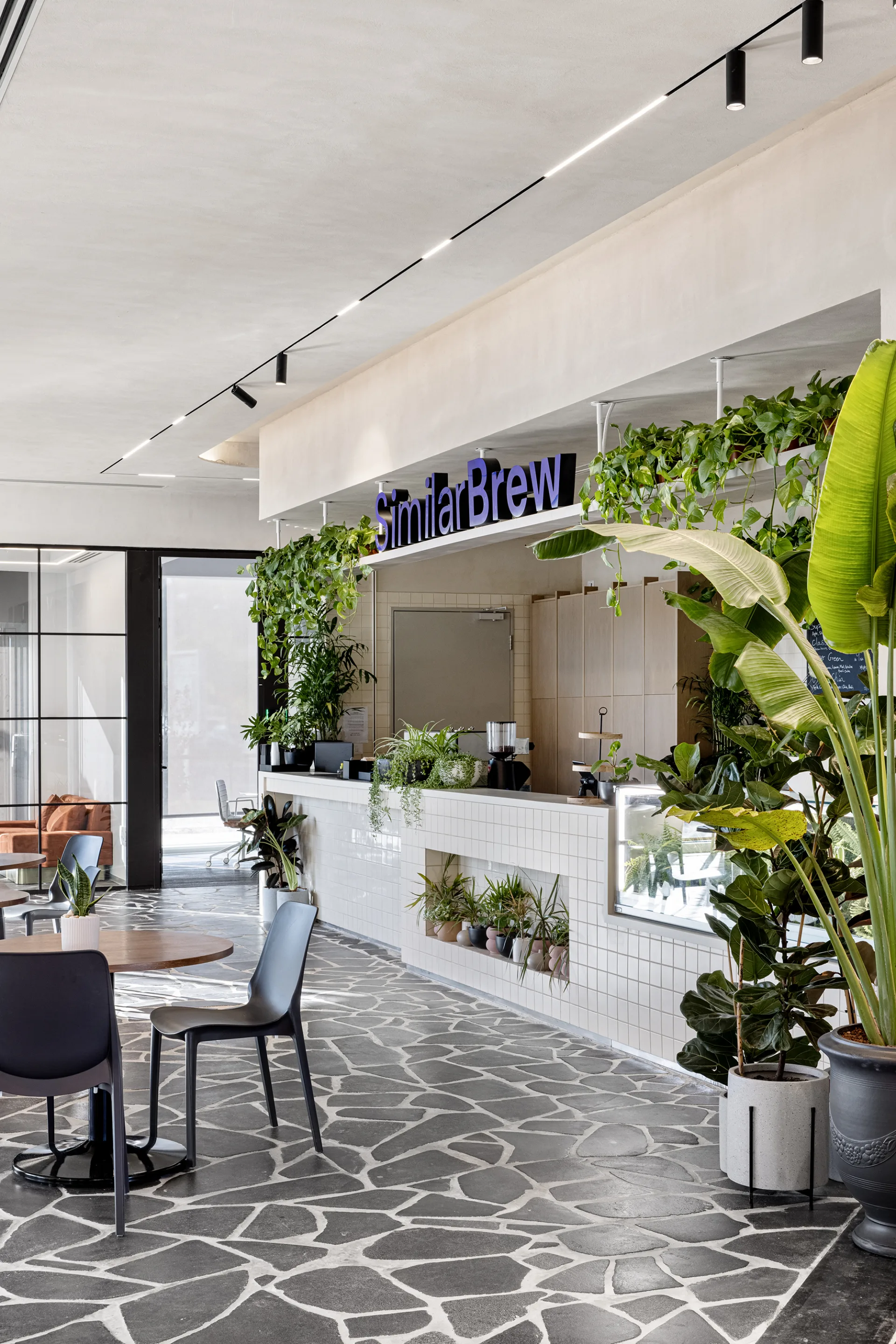 The SimilarBrew café and coffee bar with hanging greenery