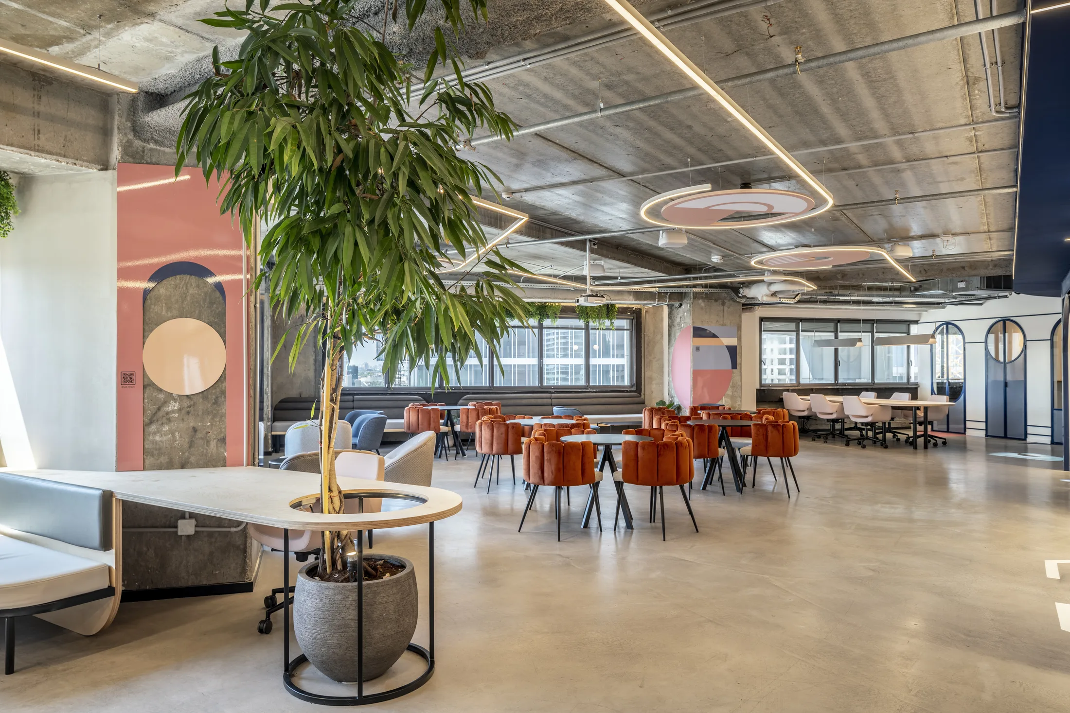 The café lounge with circular ceiling light rings