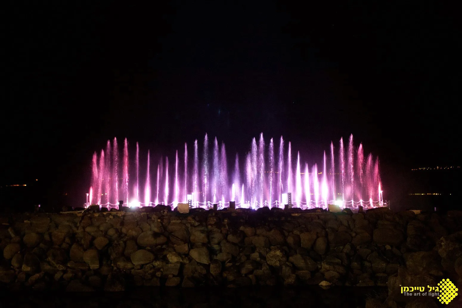 A wide array of pink-lit water jets at night