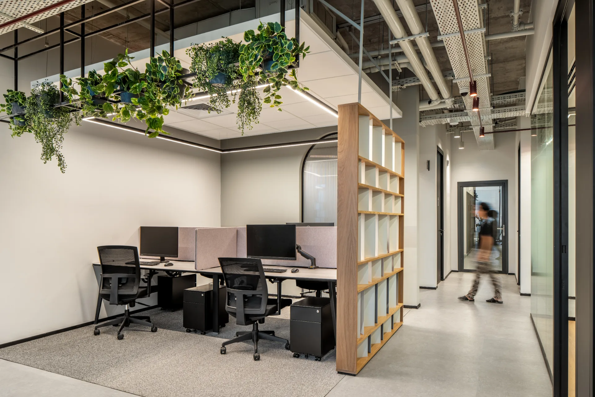 Open workspace beneath suspended greenery